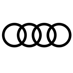 Silicone hoses Audi